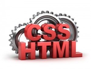 services that this essex website design company provides