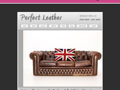 Perfect Leather