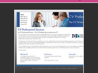 CV Professional Services