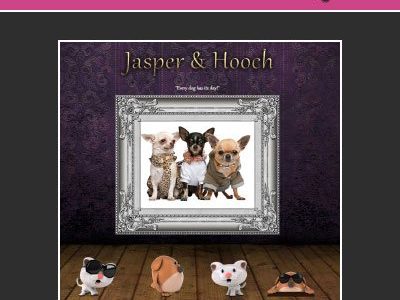Jasper and Hooch