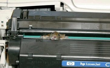 Printer Problems